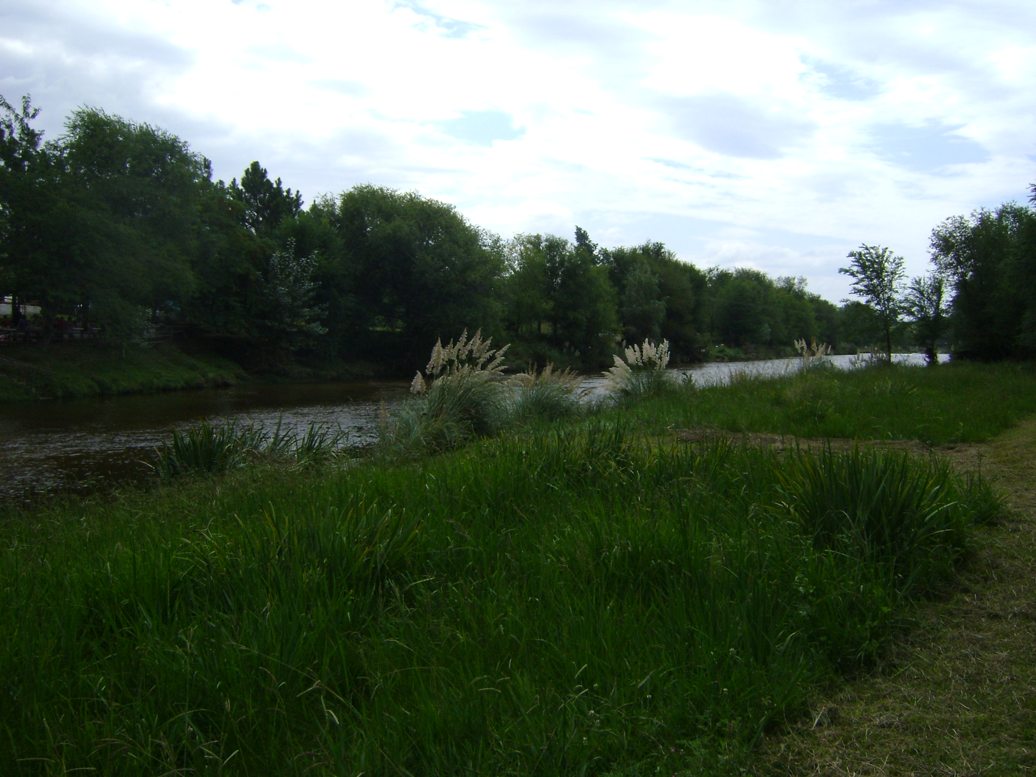 fotos/2011 - Los Reartes/DSC03240.JPG